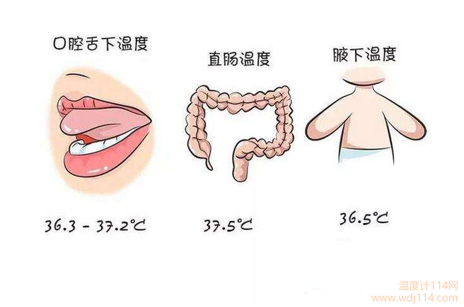 紅外線(xiàn)溫度計測哪較準？